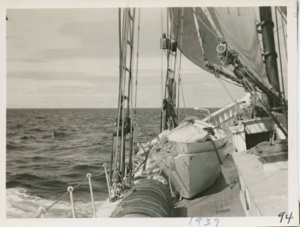 Image: Bowdoin under sail